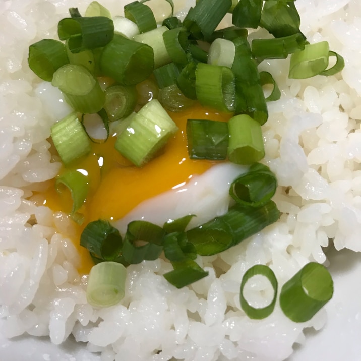 温泉卵丼